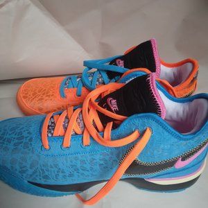 LeBron colorways